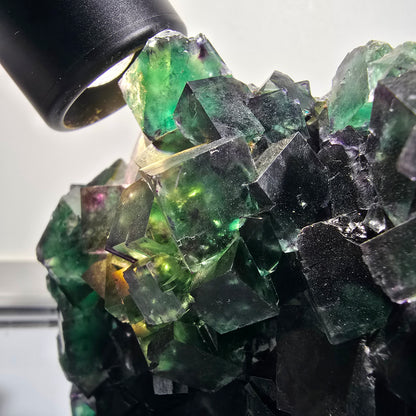 XXL Cube de fluorine fantôme, vert violet Okorusu, Namibie 139*114*46mm #12694