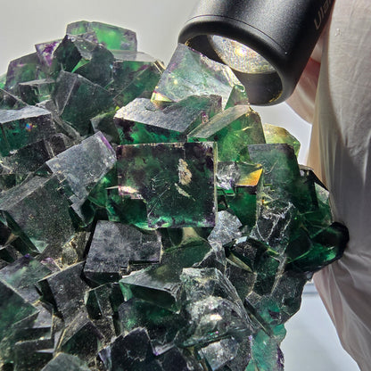 XXL Cube de fluorine fantôme, vert violet Okorusu, Namibie 139*114*46mm #12694