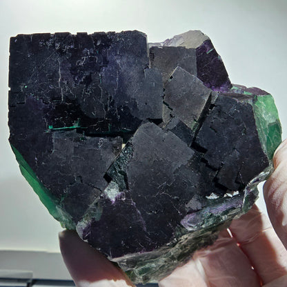 Grand spécimen de fluorite fantôme cubique, violet vert 11:11 Angel Pocket, Namibie 10*100*35mm #12695