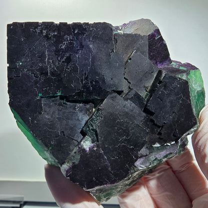 Grand spécimen de fluorite fantôme cubique, violet vert 11:11 Angel Pocket, Namibie 10*100*35mm #12695