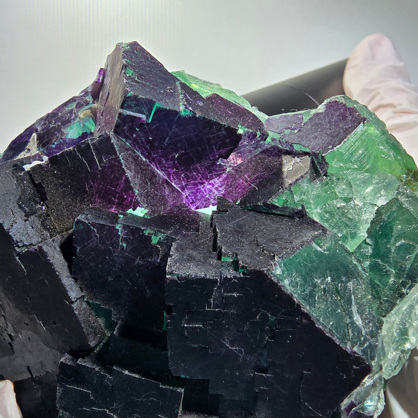 Grand spécimen de fluorite fantôme cubique, violet vert 11:11 Angel Pocket, Namibie 10*100*35mm #12695