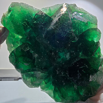XXL Phantom Fluorite Cube Specimen, tessellated, green Okorusu Namibia 170*139*42mm #12696