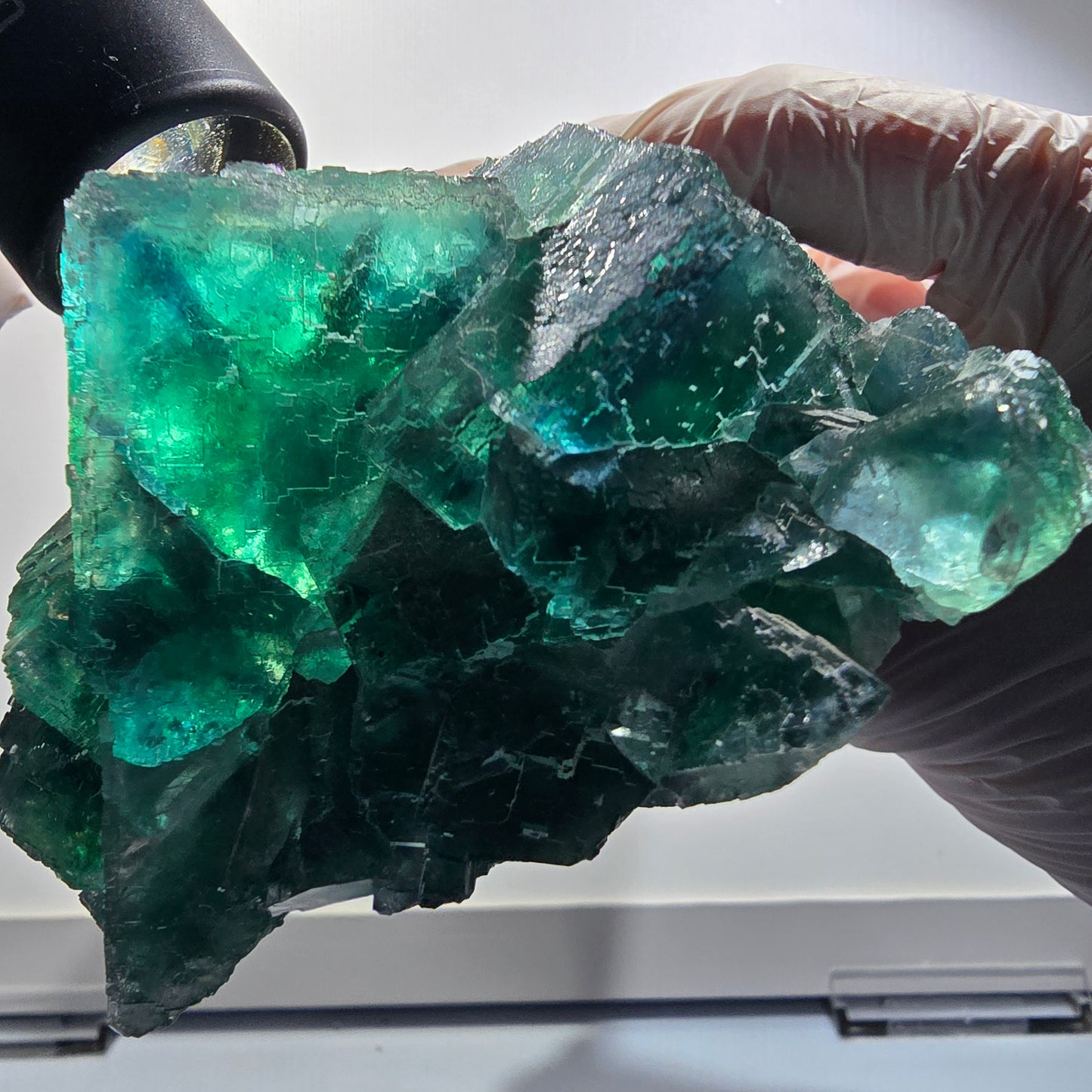 XXL Cube de Fluorine Phantom, parqueté, vert Okorusu Namibie 170*116*54mm #12697