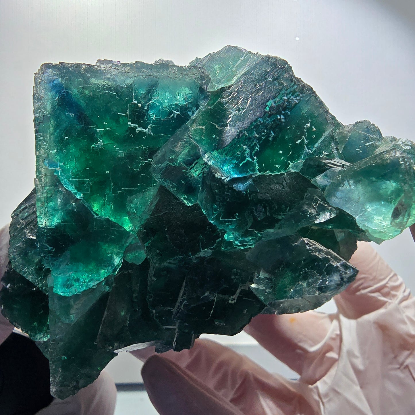 XXL Cube de Fluorine Phantom, parqueté, vert Okorusu Namibie 170*116*54mm #12697