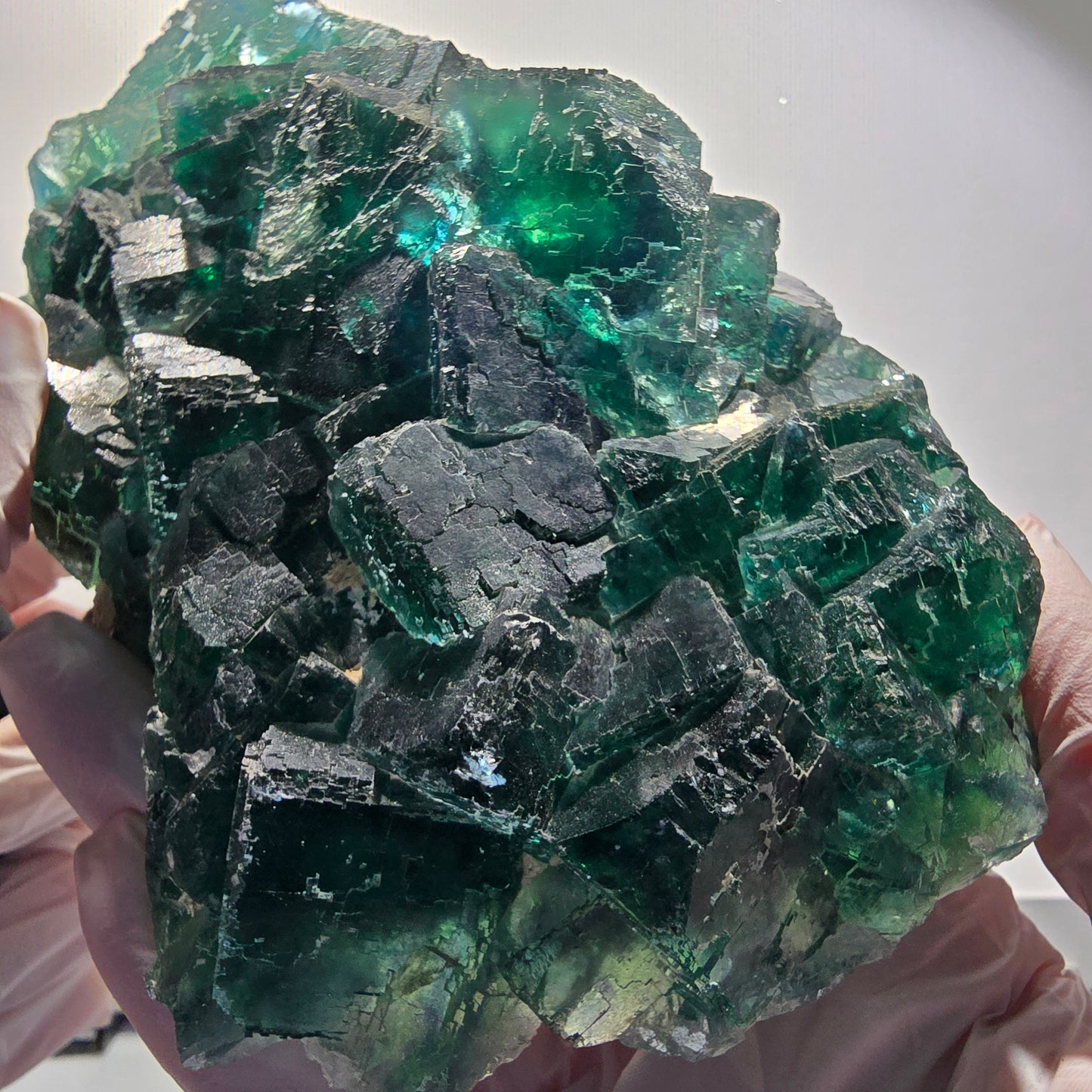 XXL Cube de Fluorine Phantom, parqueté, vert Okorusu Namibie 170*116*54mm #12697