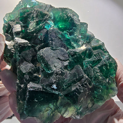XXL Cube de Fluorine Phantom, parqueté, vert Okorusu Namibie 170*116*54mm #12697