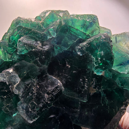 XXL Cube de Fluorine Phantom, parqueté, vert Okorusu Namibie 170*116*54mm #12697
