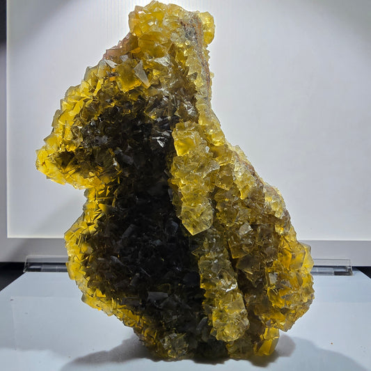 XXL Phantom Fluorit Würfel Stufe, gelb Honey Pocket Okorusu Namibia 185*22*97mm #12701