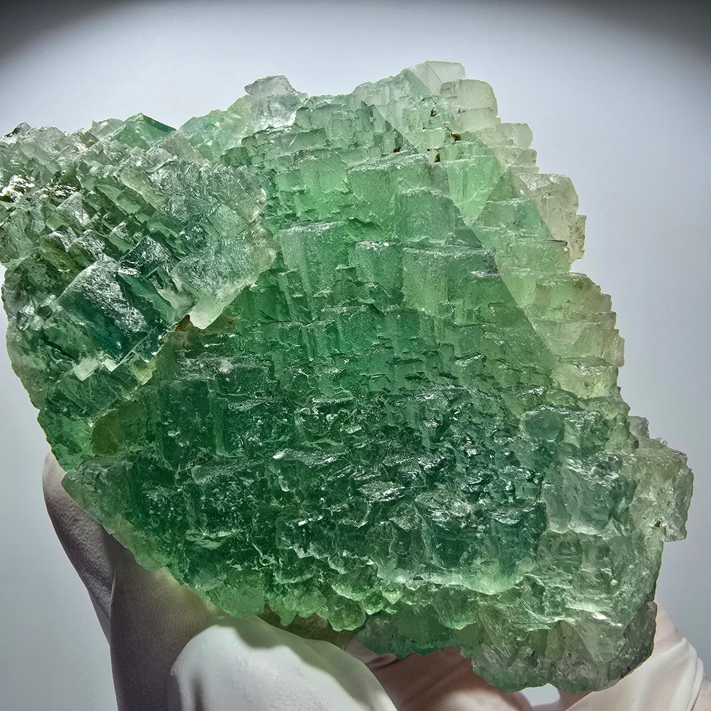 Seltene Phantom Fluorit Würfel Stufe, grün blau gestuft Omehane, Namibia 99*41*30mm #12714