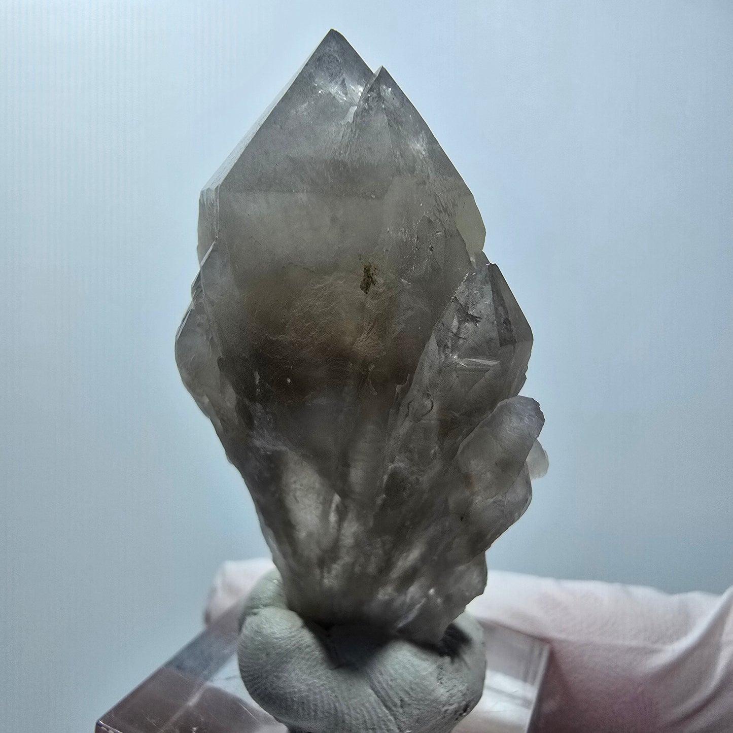Seltene Phantom Rauchquarz Zepter Stufe Erongo Namibia 50*27*18mm #12789