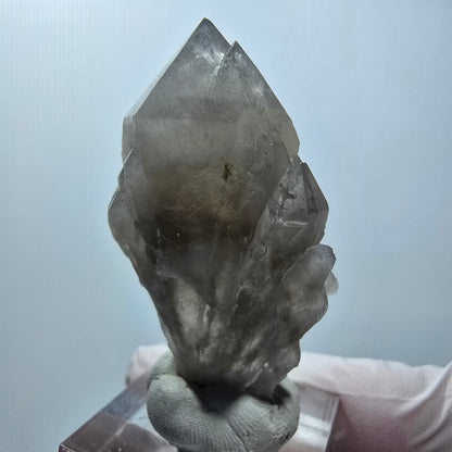Seltene Phantom Rauchquarz Zepter Stufe Erongo Namibia 50*27*18mm #12789