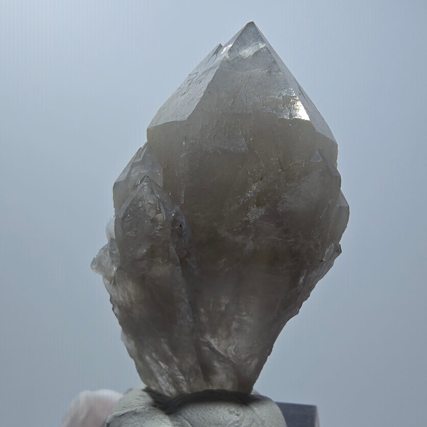 Seltene Phantom Rauchquarz Zepter Stufe Erongo Namibia 50*27*18mm #12789