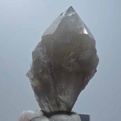 Seltene Phantom Rauchquarz Zepter Stufe Erongo Namibia 50*27*18mm #12789