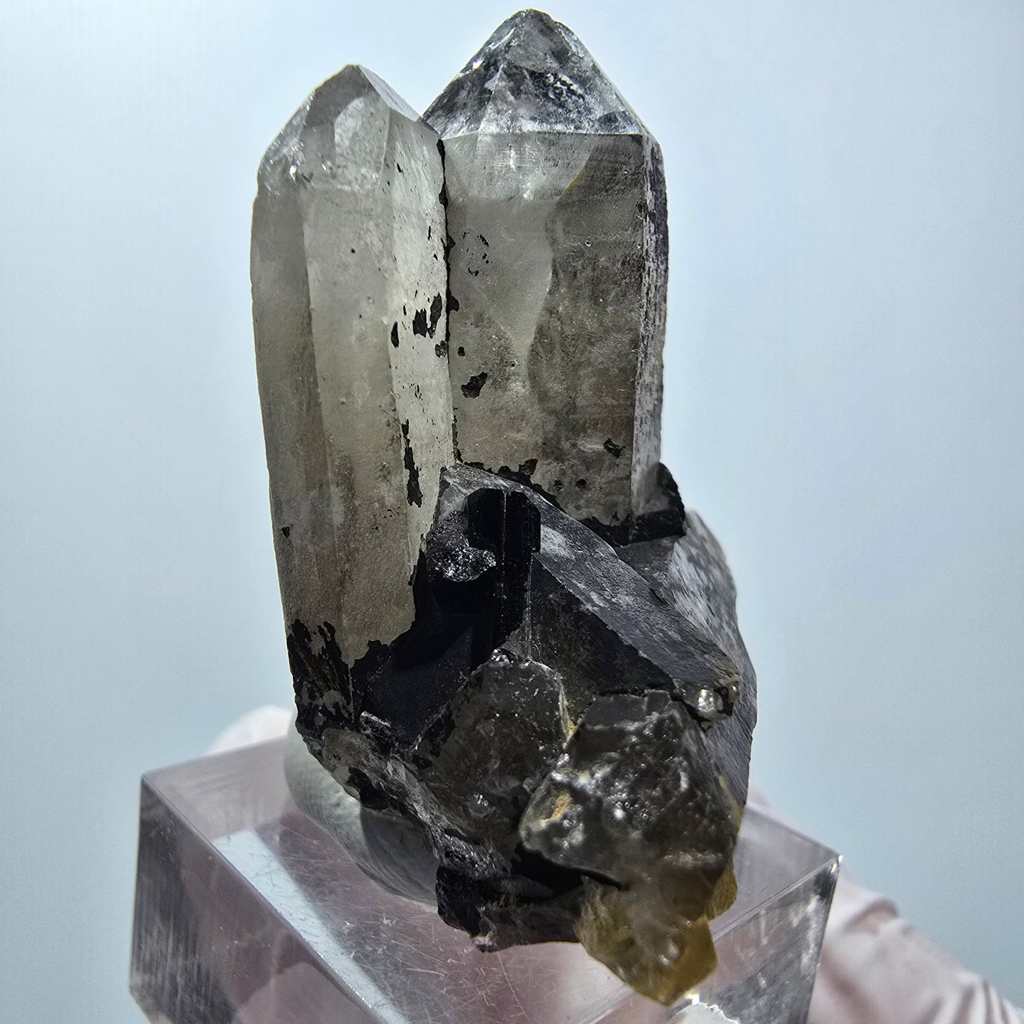 Rauchquarz mit Schörl Turmalin, Eisen, Hämatit Stufe Erongo Namibia 42*35*22mm #12790