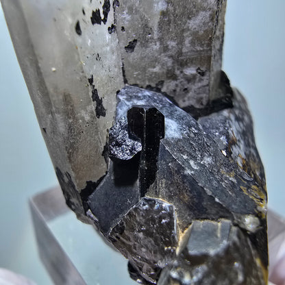 Rauchquarz mit Schörl Turmalin, Eisen, Hämatit Stufe Erongo Namibia 42*35*22mm #12790