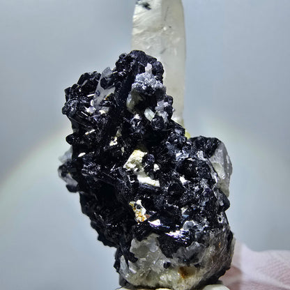 Seltene Rauchquarz, Schörl Turmalin, Muskovit Stufe Erongo Namibia 71*34*26mm #12791
