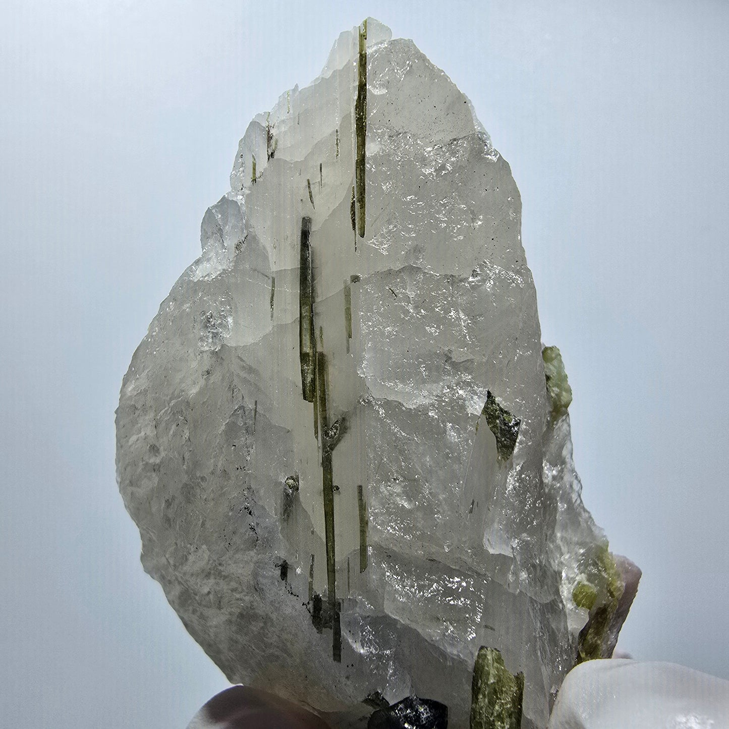 Seltene Wasssermelonen Turmalin auf Quarz Stufe Karabib, Namibia 69*45*35mm #12794
