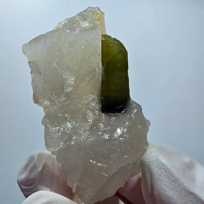 Seltene Verdelith Turmalin auf Quarz Stufe Karabib, Namibia 56*27*19mm #12796