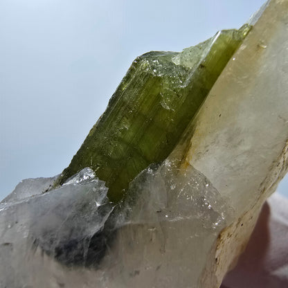 Seltene Verdelith Turmalin auf Quarz Stufe Karabib, Namibia 56*27*19mm #12796