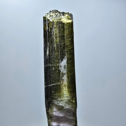 Seltener Wasssermelonen Turmalin Kristall Karabib, Namibia 50*9*8mm #12797