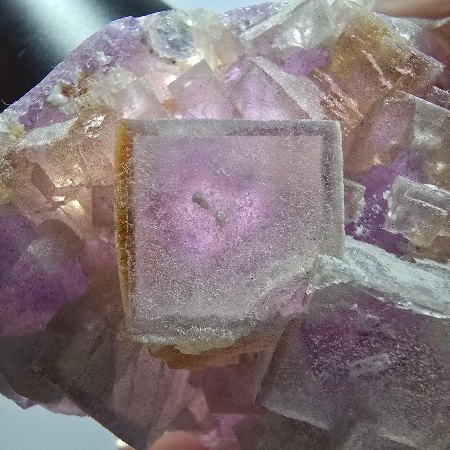 Fluorite fantôme en cubes, lilas jaune blanc Brandberg, Namibie 56*42*21mm #12810
