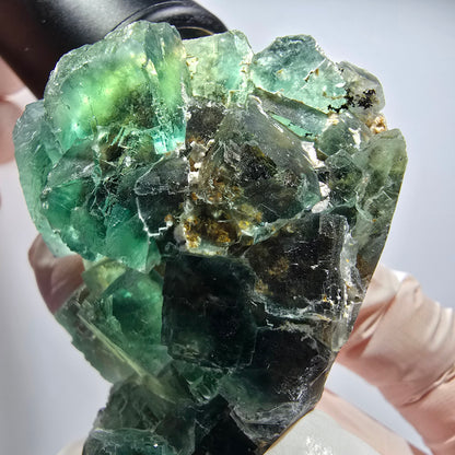 Phantom Fluorit Würfel Stufe, grün parkettiert Okorusu, Namibia 59*49*24mm #12812