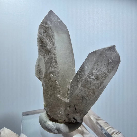 Skelett Rauchquarz Zwilling, Schörl Turmalin, Muskovit Erongo Namibia 72*49*27mm #12818