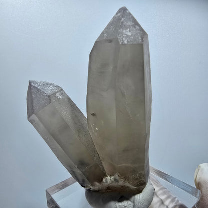 Skelett Rauchquarz Zwilling, Schörl Turmalin, Muskovit Erongo Namibia 72*49*27mm #12818