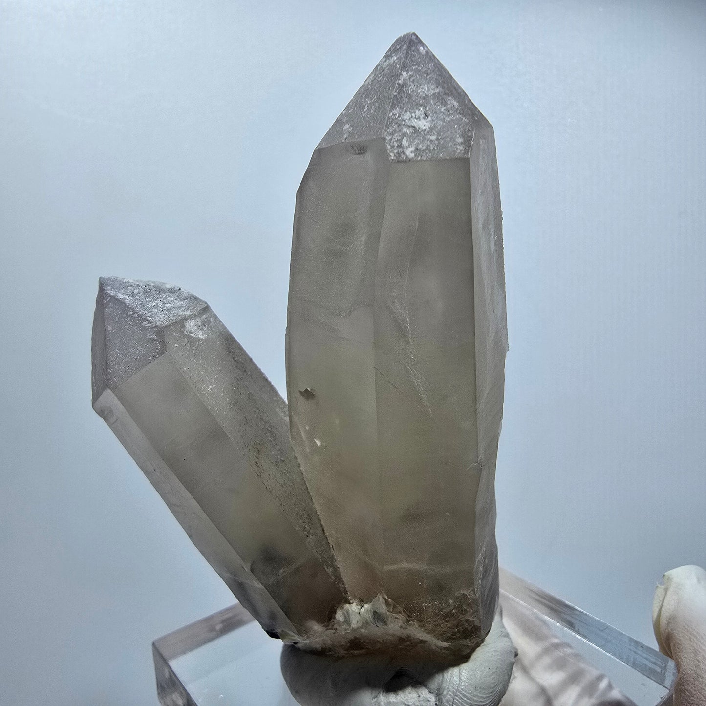 Skelett Rauchquarz Zwilling, Schörl Turmalin, Muskovit Erongo Namibia 72*49*27mm #12818
