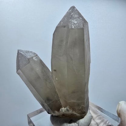 Skelett Rauchquarz Zwilling, Schörl Turmalin, Muskovit Erongo Namibia 72*49*27mm #12818