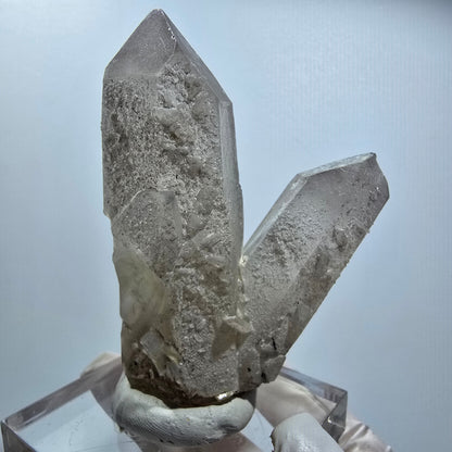 Skelett Rauchquarz Zwilling, Schörl Turmalin, Muskovit Erongo Namibia 72*49*27mm #12818