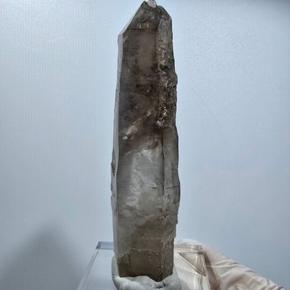 Skelett Rauchquarz, Schörl Turmalin Kristallspitze Erongo, Namibia 98*22*18mm #12819