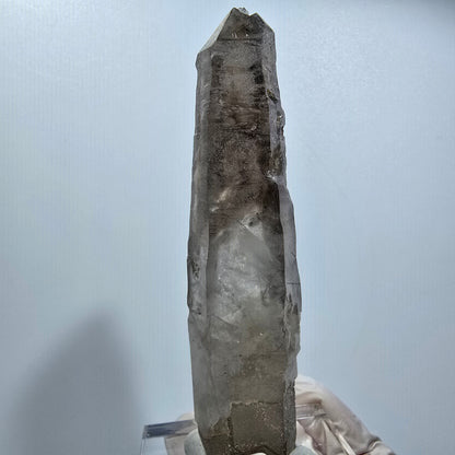 Skelett Rauchquarz, Schörl Turmalin Kristallspitze Erongo, Namibia 98*22*18mm #12819