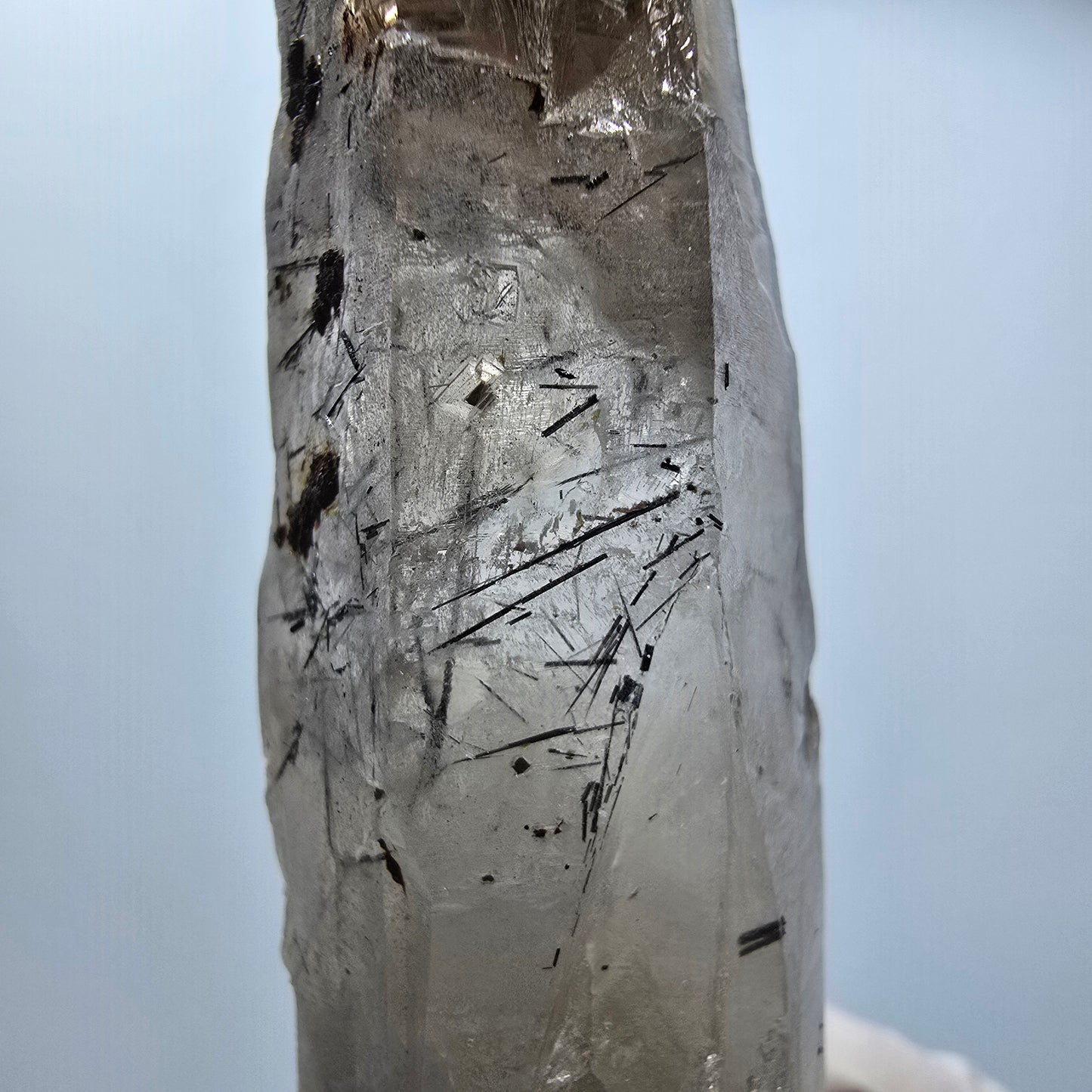 Skelett Rauchquarz, Schörl Turmalin Kristallspitze Erongo, Namibia 98*22*18mm #12819