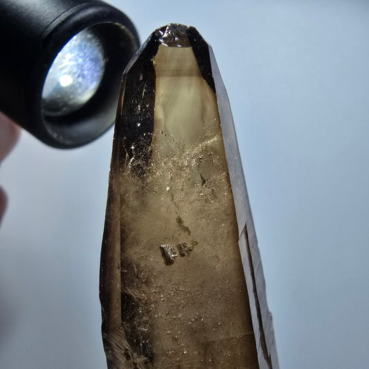 Klarer Phantom Rauchquarz Zepter Kristall, braun Erongo, Namibia 74*26*21mm #12821