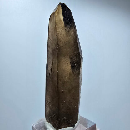 Klarer Phantom Rauchquarz Zepter Kristall, braun Erongo, Namibia 74*26*21mm #12821
