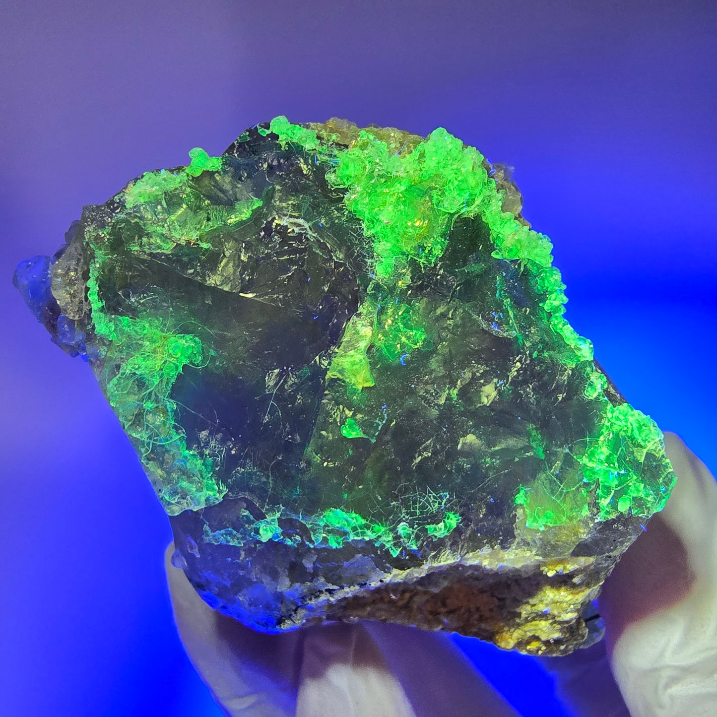 Skelett Rauchquarz mit Fluorit, Schörl Turmalin, Hyalit Opal Erongo, Namibia 106*55*43mm #12822