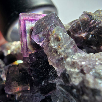 Sehr klare Phantom Fluorit Würfel Stufe, lila grün Okorusu, Namibia 86*57*35mm #12830
