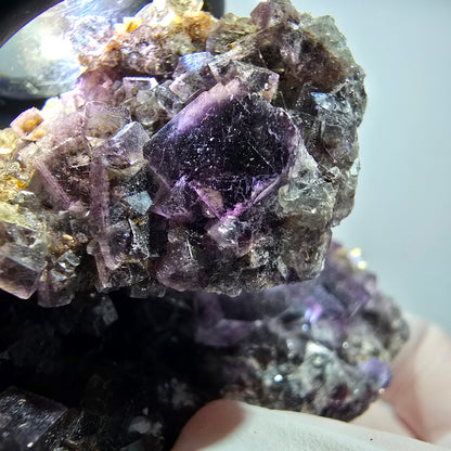Sehr klare Phantom Fluorit Würfel Stufe, lila grün Okorusu, Namibia 86*57*35mm #12830