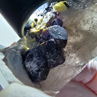 Cubes de fluorite colorés, quartz fumé, tourmaline schorl, muscovite Erongo, Namibie 66*33*12mm #12833