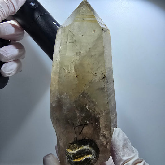 XL Skelett Rauchquarz mit Schörl Turmalin, Muskovit Erongo, Namibia 145*57*55mm #12835