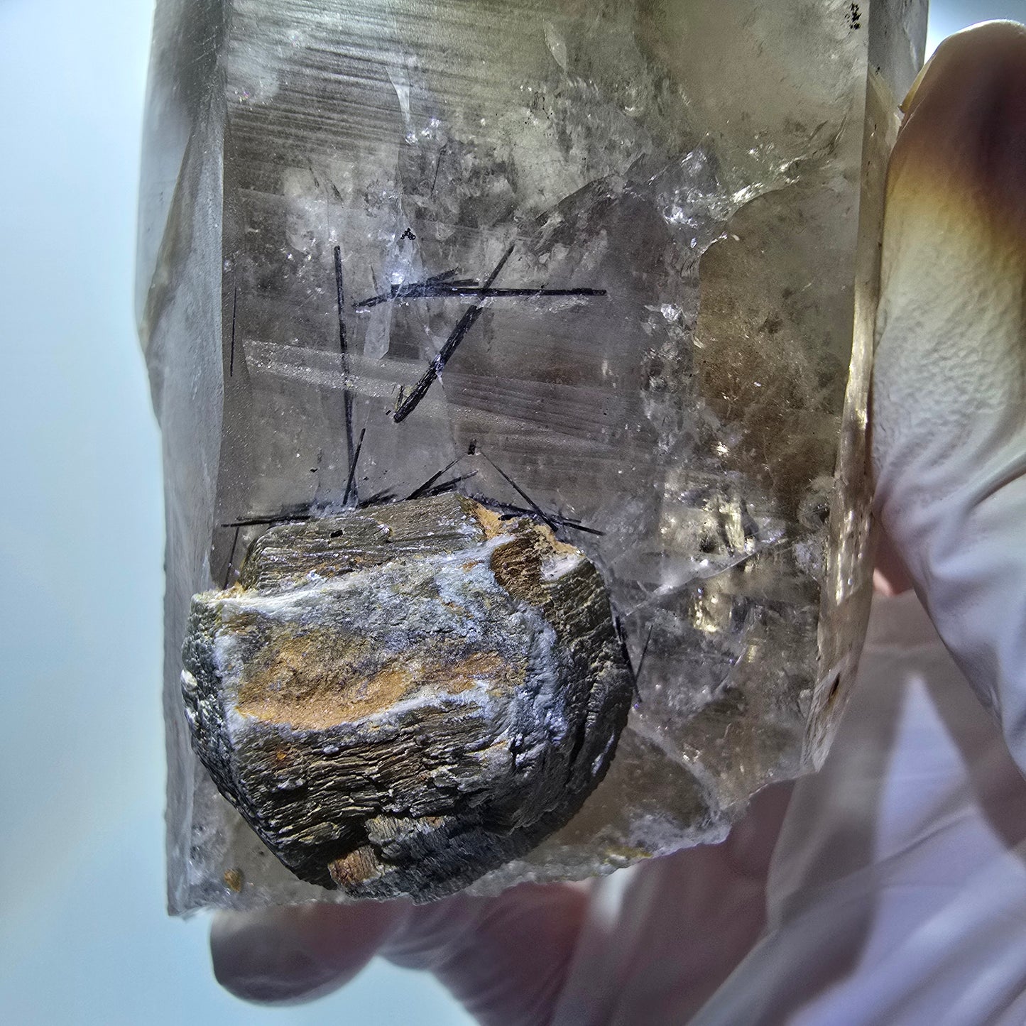 Grand squelette de quartz fumé avec schorl tourmaline, muscovite Erongo, Namibie 145*57*55mm #12835