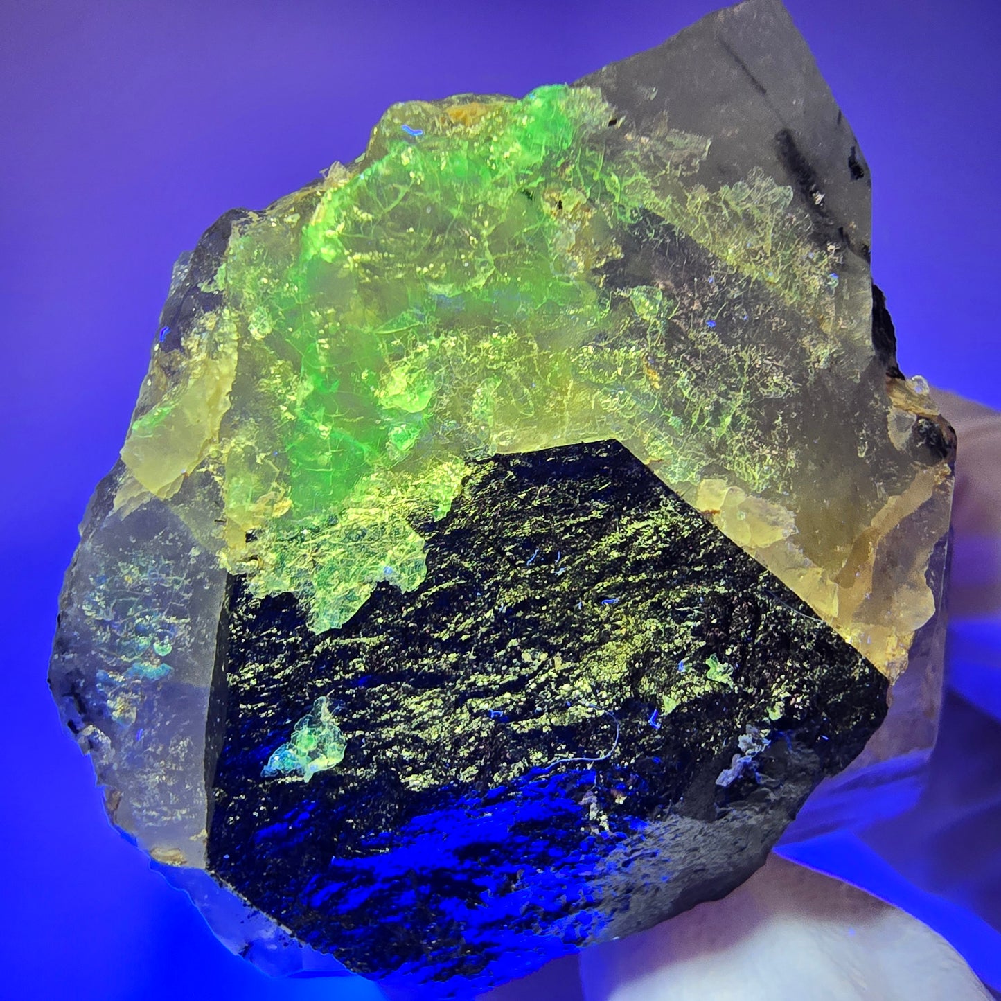 Quartz enfumé squelette enhydro, schorl, hyalite, 2x bulles (grandes) Erongo, Namibie 76*44*34mm #12837