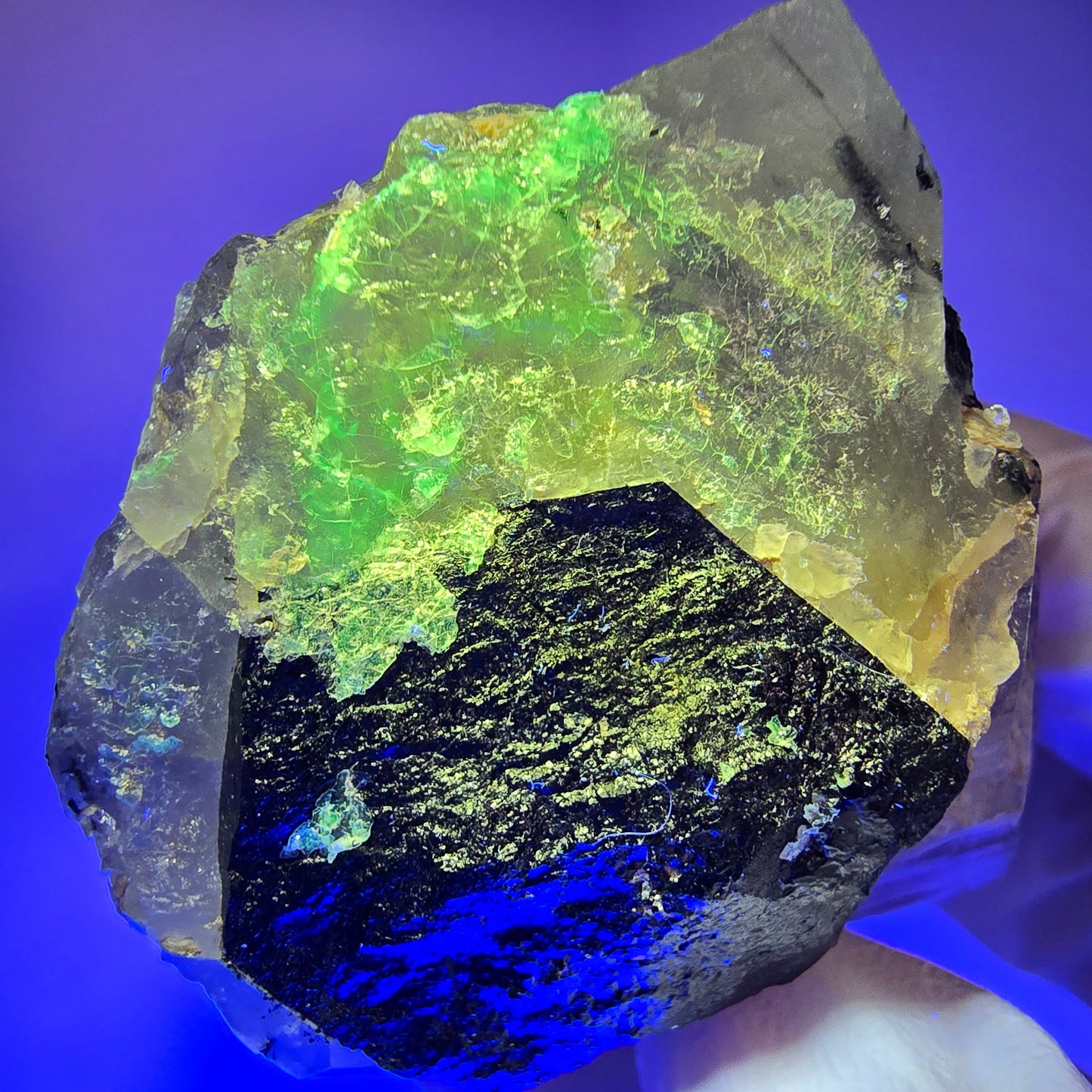 Quartz enfumé squelette enhydro, schorl, hyalite, 2x bulles (grandes) Erongo, Namibie 76*44*34mm #12837