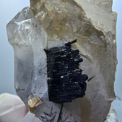 Quartz enfumé squelette enhydro, schorl, hyalite, 2x bulles (grandes) Erongo, Namibie 76*44*34mm #12837