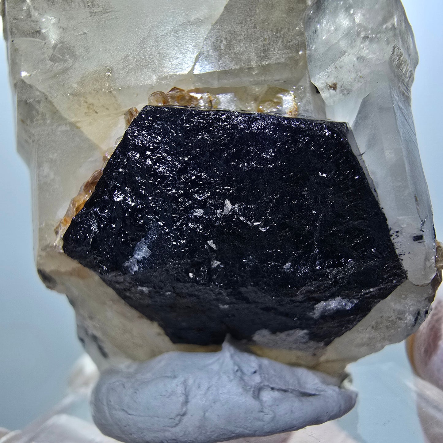 Quartz enfumé squelette enhydro, schorl, hyalite, 2x bulles (grandes) Erongo, Namibie 76*44*34mm #12837