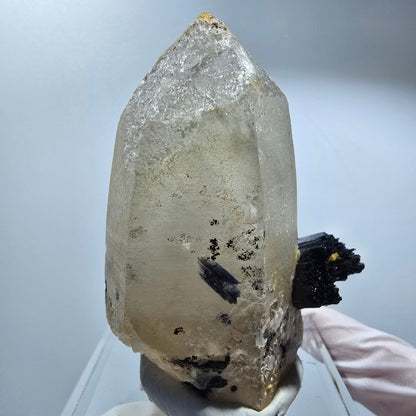 Phantom Skelett Rauchquarz Spitze mit Schörl Turmalin Erongo, Namibia 62*49*34mm #12838