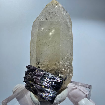 Phantom Skelett Rauchquarz Spitze mit Schörl Turmalin Erongo, Namibia 62*49*34mm #12838