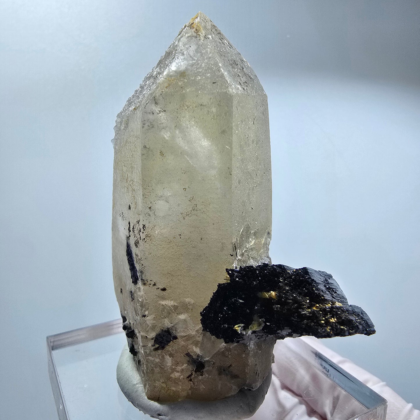 Phantom Skelett Rauchquarz Spitze mit Schörl Turmalin Erongo, Namibia 62*49*34mm #12838