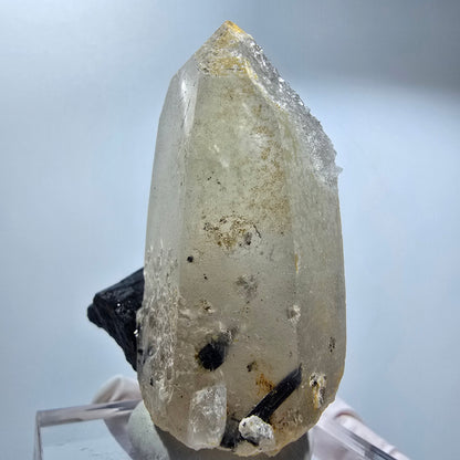 Phantom Skelett Rauchquarz Spitze mit Schörl Turmalin Erongo, Namibia 62*49*34mm #12838